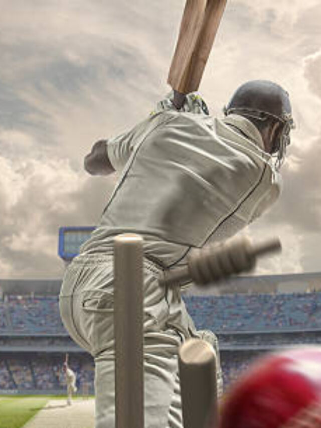 Indian Premier League IPL 2025